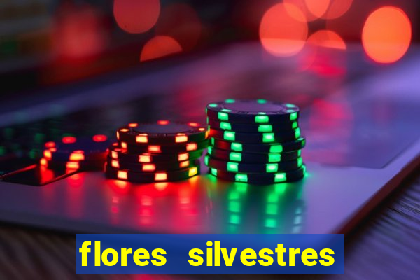 flores silvestres desbravadores desbravadores 25